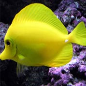 短信验证码轰炸卡盟免费